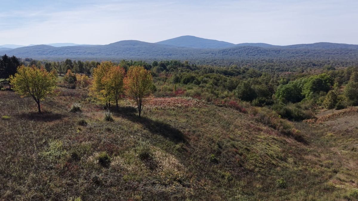 Autumn meadow on a hillside in Kordun, looking out over wooded valleys to layers of blue hills