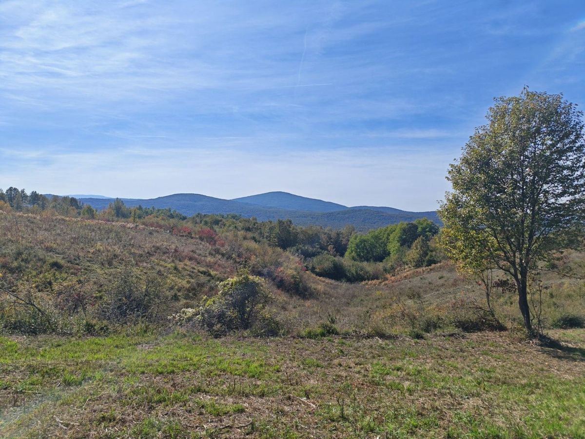 The view from the meadow, with a single tree and blue hills